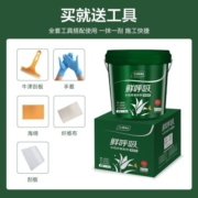 三棵树漆（SKSHU）水性环氧彩砂抗菌美缝剂十大品牌瓷砖地砖专用防霉勾缝剂地暖可用