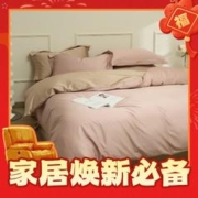爆卖年货：AIDLI 100支新疆长绒棉纯色全棉双人套件 薄雾玫瑰 200*230cm四件套（1.5/1.8m床）
