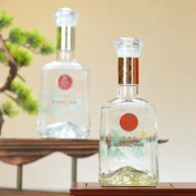五粮液生态酿酒江山礼盒500ml*2瓶