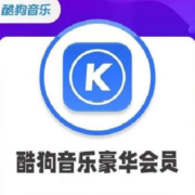 酷狗音乐 豪华VIP会员 12个月年卡 赠音乐包