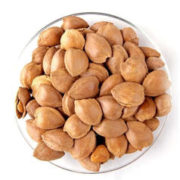 杏核净重500g年货必备