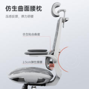SIHOO 西昊 M59 家用电脑椅 全网办公椅 学习椅 双背 人体工学椅