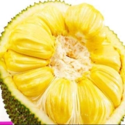 京东百亿补贴：闽农语果 菠萝蜜整个 精选干苞老树果 10-15斤