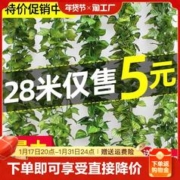 园翌 仿真藤条假花装饰管道藤蔓绿叶绿植吊顶塑料假绿萝树叶遮挡葡萄叶