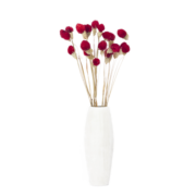 干花花束植物干花真花永生花勿忘我干花多色草莓果干花办公室客厅茶几餐桌摆放装饰艺术插花小花束 红色草莓果12支（不含花瓶）