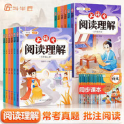 大语文阅读理解专项训练书人教版