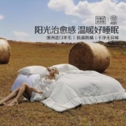 MERCURY 水星家纺 100%澳洲羊毛被子200×230cm