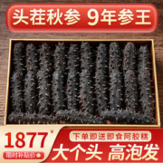 SHOUXIANDAO 首鲜岛 大连底播淡干海参高品质辽刺参海参干货生鲜水产 9年参王500g 50-70只简装
