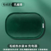 CHANGHONG 长虹 热水袋 国标防爆充电夹