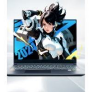 MECHREVO 机械革命 极光Pro 16英寸13代酷睿i7游戏本笔记本电脑(i7-13650HX 16G 1T RTX4070 165HZ 2.5K屏)