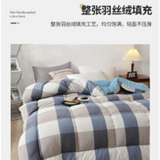 AVIVI 艾薇 抗菌纤维被 4.5斤150*200cm