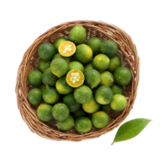 plus会员：京鲜生 海南小青柠500g  新鲜水果