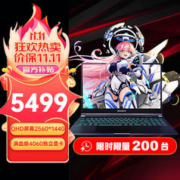 机械革命 极光S/Pro 2023版酷睿i5系列4060光追游戏本 高分高刷电竞游戏设计程笔记本电脑