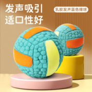 EETOYS 宜特 小号乳胶排球蓝色狗狗玩具趣味发声球逗泰迪法斗神器互动训练宠物用品