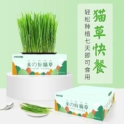 得酷 猫薄荷猫咪用品 猫草种植套装 16*16*5.6CM