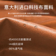 SAMEDREAM 摇摇椅躺椅成人大人客厅阳台逍遥家用单人休闲懒人沙发龙虾蜗牛椅