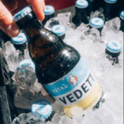 京东百亿补贴：VEDETT 白熊 啤酒 精酿 啤酒 330ml*24瓶 整箱装