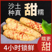 余氏田园 花糯玉米 真空即食 4.4斤(9-11支)单支200-220g