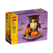 LEGO 乐高 创意方头仔男女孩拼搭积木玩具粉丝收藏新年礼物 40497 万圣节猫头鹰