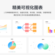 WPS超级会员PRO套餐4年官方正版PPT制作word排版翻译工具PDF编辑