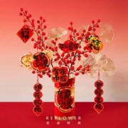 花点时间 2024龙年宵花红果仿真礼盒