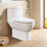 京东PLUS：ARROW 箭牌卫浴 AE1015M 连体式马桶 300mm坑距