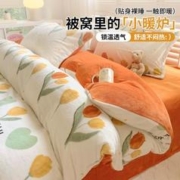 红豆男装 冬季牛奶绒四件套床上用品防静电双面加厚珊瑚绒被套法兰绒床单