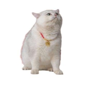俘获 宠物项圈项链 红色