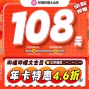 bilibili 哔哩哔哩大会员 12个月