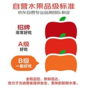悦果昕 四川爱媛38号果冻橙新鲜水果 净重5斤单果75-85mm 源头直发包邮