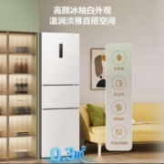 京东百亿补贴：Hisense 海信 小冰箱小型家用 三开门白色电冰箱 221升 BCD-221WYK1D