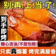 绿农地 正宗烟薯25号新鲜沙地现挖红薯糖心蜜薯番薯地瓜超甜批发红皮