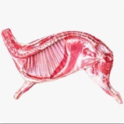 16日20点、限1000件、聚划算百亿补贴：新鲜羊肉新鲜半只羊10斤乳羔羊后腿羊肋排冷冻羊蝎子火锅食材