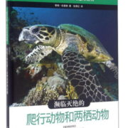 濒临灭绝的爬行动物和两栖动物