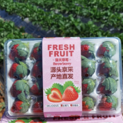 再降价、3日0点开始：京鲜生 奶油草莓1.4kg 大果 单果约20g
