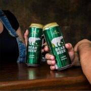 BearBeer 豪铂熊 IPA啤酒 500ml*24听 整箱装 德国原装进口