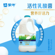 百亿补贴:蒙牛风味 酸牛奶 原味 1.1kg＊3件