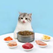 YANXUAN 网易严选 猫粮全价猫粮 幼猫成猫主粮猫咪食品 一口9种肉 3.0配方升级款120g2袋