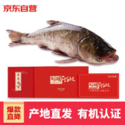 CHINGREE 查干湖 冬捕有机查干湖胖头鱼11.5-12斤 1条 年货礼盒 年夜饭礼包