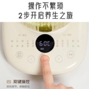 Joyoung 九阳 养生壶 恒温水壶1.5L K15D-WY166 1000瓦1000W轻复古养生壶