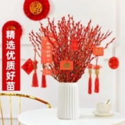 爱你一万年 银柳真花鲜枝干花摆件室内水培绿植物新年红福桶招财年宵花卉盆栽
