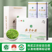 赛八仙 2023新茶安吉白茶特级绿茶叶礼盒送礼长辈高山春茶官方250g
