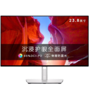 戴尔（DELL） P2422H 23.8英寸 办公显示器IPS显示屏幕滤蓝光旋转升降电脑显示器24 护眼显示器