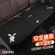 ZIFEELING 紫风铃 冬季座椅加热垫车载电加热毯后排双人单座毛绒座垫 颜色备注默认黑