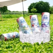 10罐 rio清爽鸡尾酒330ml*10罐