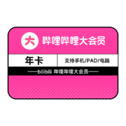 哔哩哔哩 vip会员12个月年卡 B站年度大会员 填写手机号