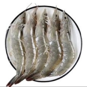 澳角大厝 鲜活盐冻2030青岛大虾 1650g/盒