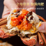 88VIP会员：鱻谣 花雕熟醉蟹800g全母即食熟腌螃蟹呛蟹大闸蟹海鲜礼盒