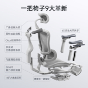 西昊 Doro C300人体工学电脑椅 家用办公椅 椅子久坐舒服 老板椅