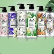 LUX 力士 植萃精油香氛沐浴露 小苍兰香 750g